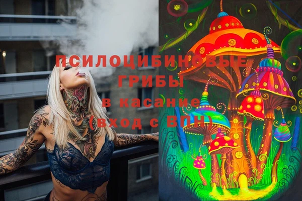 меф Заволжск