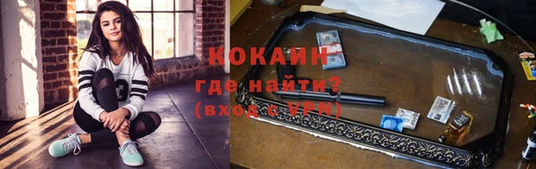 дживик Абаза