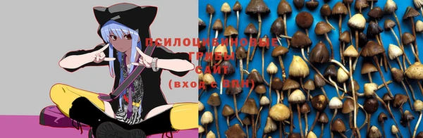 скорость Абинск