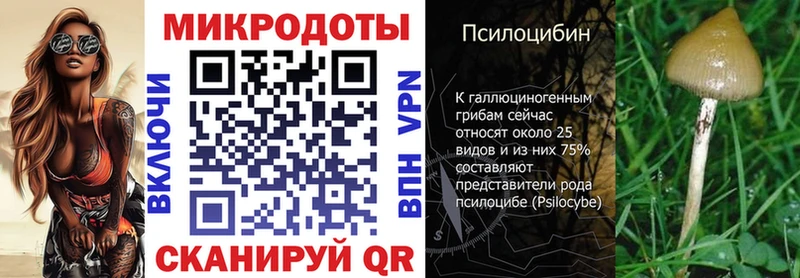 Псилоцибиновые грибы мицелий  Сыктывкар 