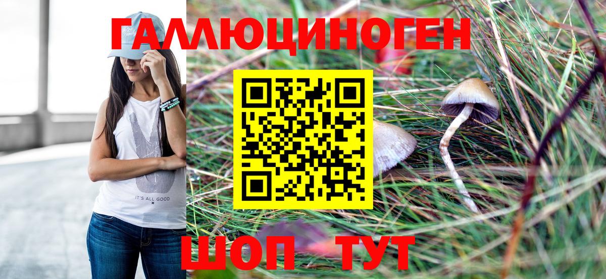 Галлюциногенные грибы ЛСД Сыктывкар